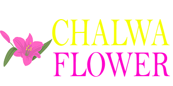 Chalwa Flower